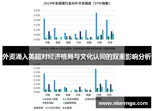外资涌入英超对经济格局与文化认同的双重影响分析