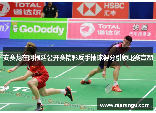 安赛龙在阿根廷公开赛精彩反手抽球得分引领比赛高潮