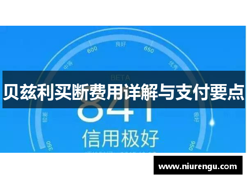 贝兹利买断费用详解与支付要点